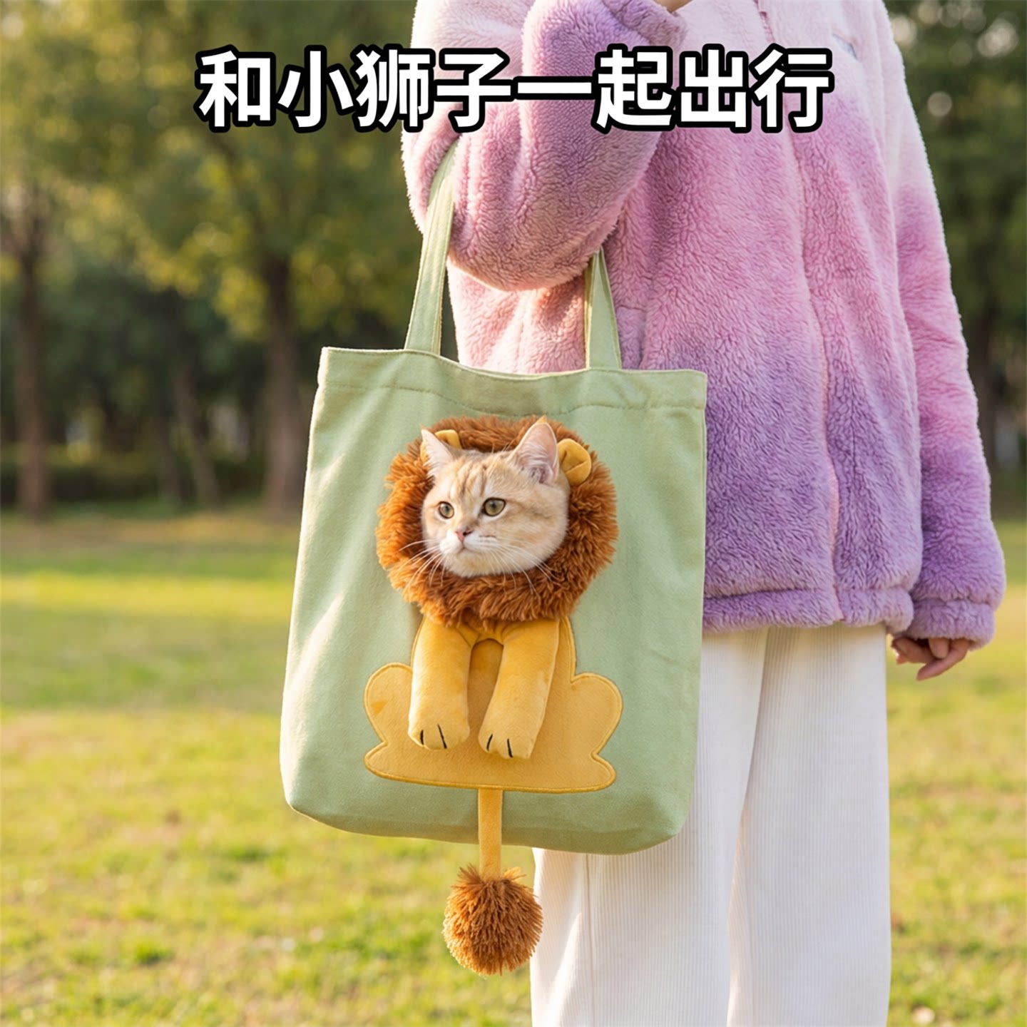 宠物斜挎猫包手提式溜猫袋图片