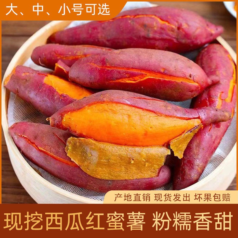 渠首红红薯新鲜九斤板栗番薯沙地农家自种地瓜山芋超甜西瓜红蜜薯