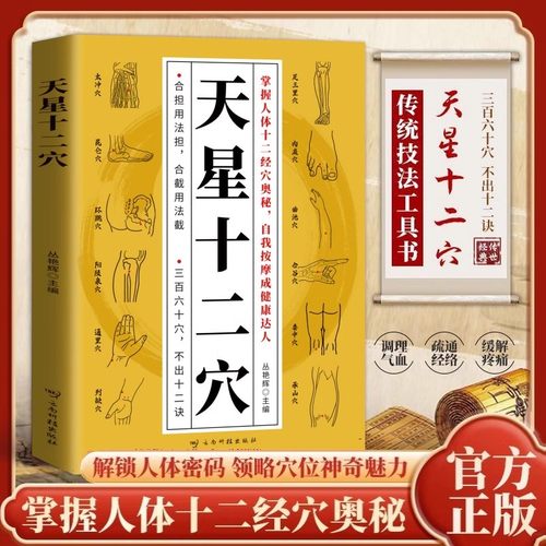 天星十二穴正版人体全身经络穴位图 道家全真派七子马丹阳金针度世心传 天心十二穴位中医入门讲人体经穴奥秘修学用药养生保健书籍