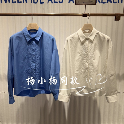 衣播商场女装复古洋气宽松通勤绣花气质衬衫BDS3CD3123光影交错