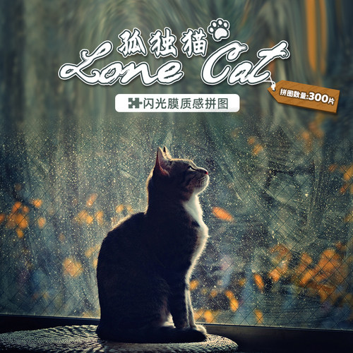 荷兰进口黑卡纸减压玩具礼物拼图