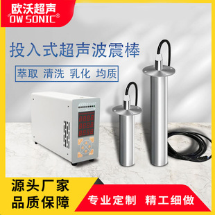 单双频投入式超声波震棒振动棒工业清理除油污实验室均质分散棒