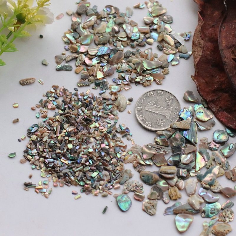 鲍鱼贝 天然贝壳螺钿碎片碎料 美甲亮片 装饰镶嵌 指甲配饰