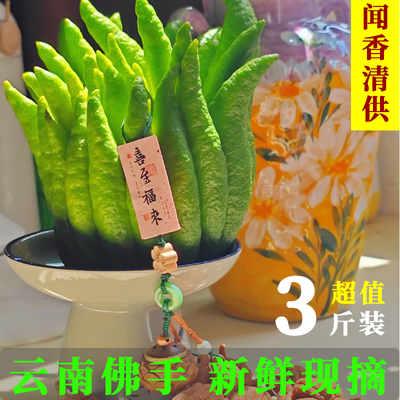 云南高山佛手新鲜柠檬香