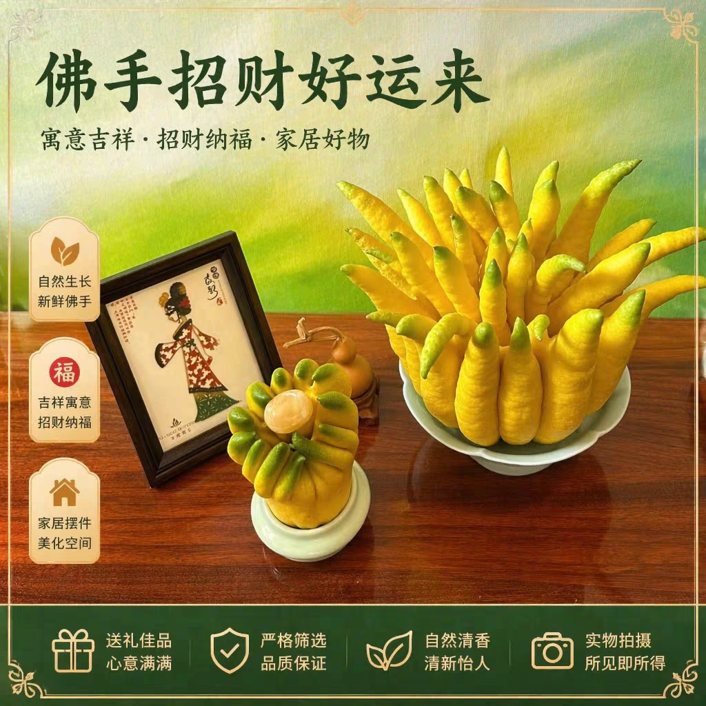 云南佛手柑新鲜现摘浓香佛手闻香清供观赏摆件纯天然佛手装饰花材