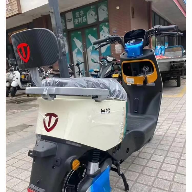 台铃星河eb五星钻豹金牛电动车尾箱货架后备箱延长改装架尾翼靠背