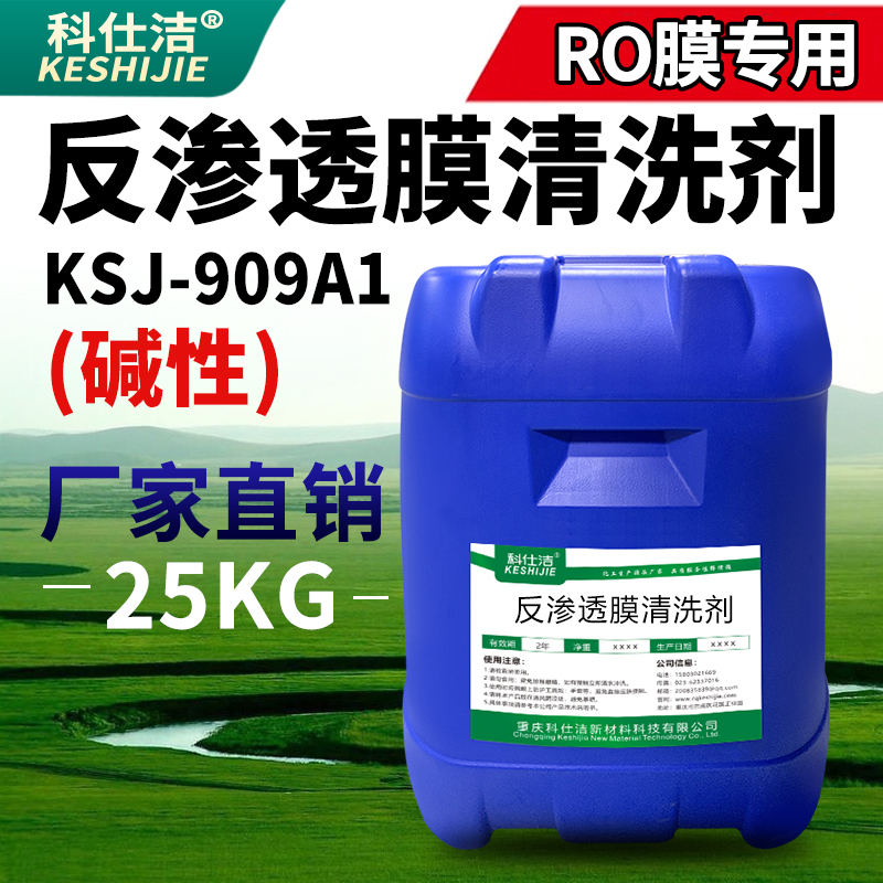反渗透清洗剂碱性RO膜去除菌藻类净水设备滤芯饮水机疏通剂阻垢剂