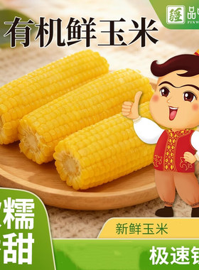 新疆有机鲜糯玉米棒早餐粗粮