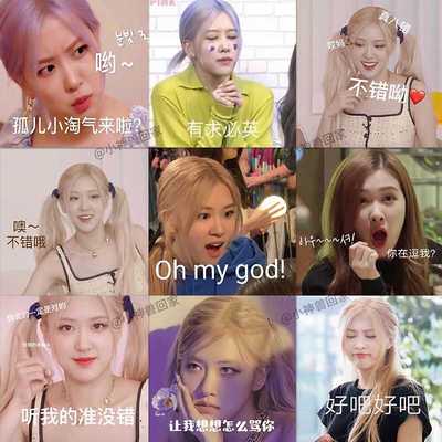 rose朴彩英表情包贴纸