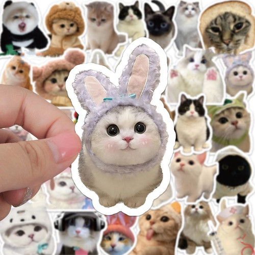 60张小猫咪贴纸ins装饰