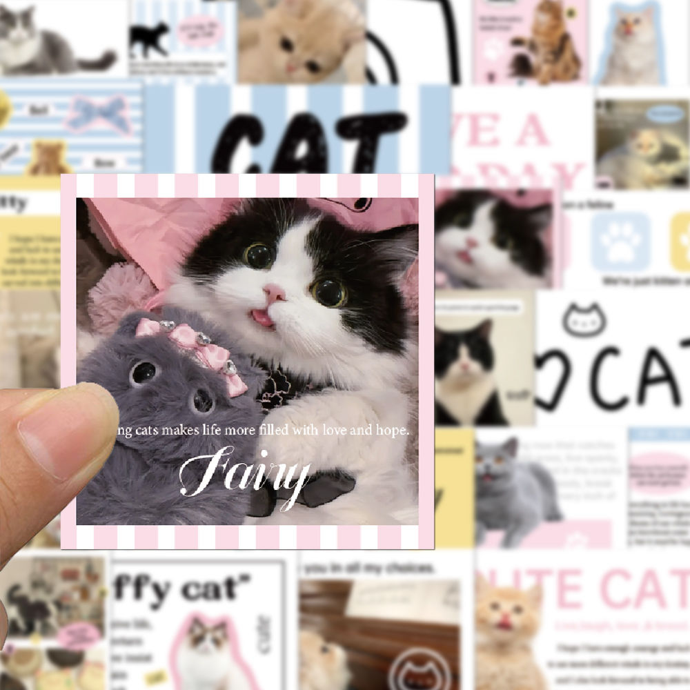 60张猫咪贴纸包贴纸韩系ins风写实可爱装饰ipad平板手机防水贴画