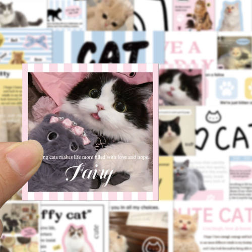 60张猫咪贴纸包贴纸韩系ins风写实可爱装饰ipad平板手机防水贴画