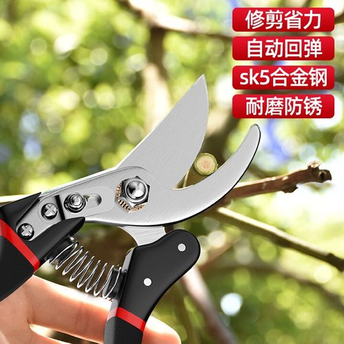 园艺剪刀修枝剪家用剪果树粗枝