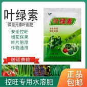 叶绿素控旺叶面肥蔬菜花卉安全控旺草莓控旺药防徒长蔬菜控旺增厚