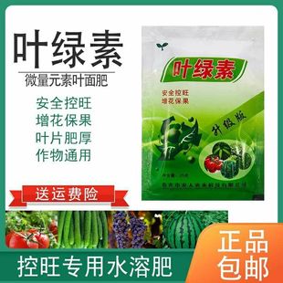 叶绿素控旺叶面肥蔬菜花卉安全控旺草莓控旺药防徒长蔬菜控旺增厚