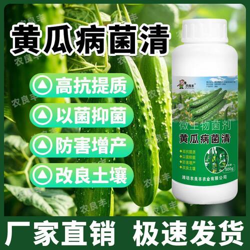 农良丰黄瓜病菌清高抗提质快速复壮微生物制剂蔬菜黄瓜专用叶面肥