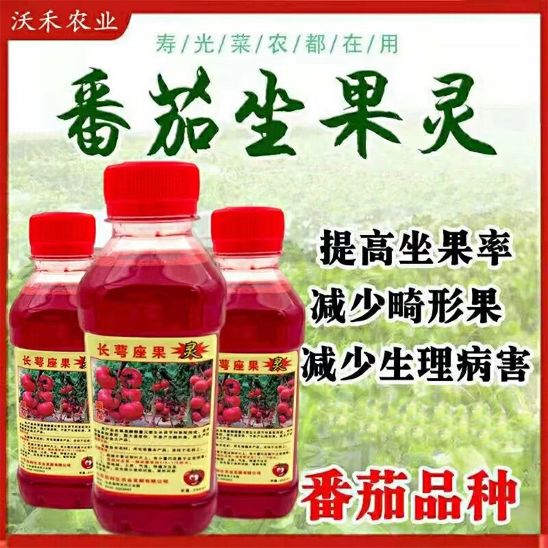 大小西红柿长萼坐果灵点花药坐座叶面肥