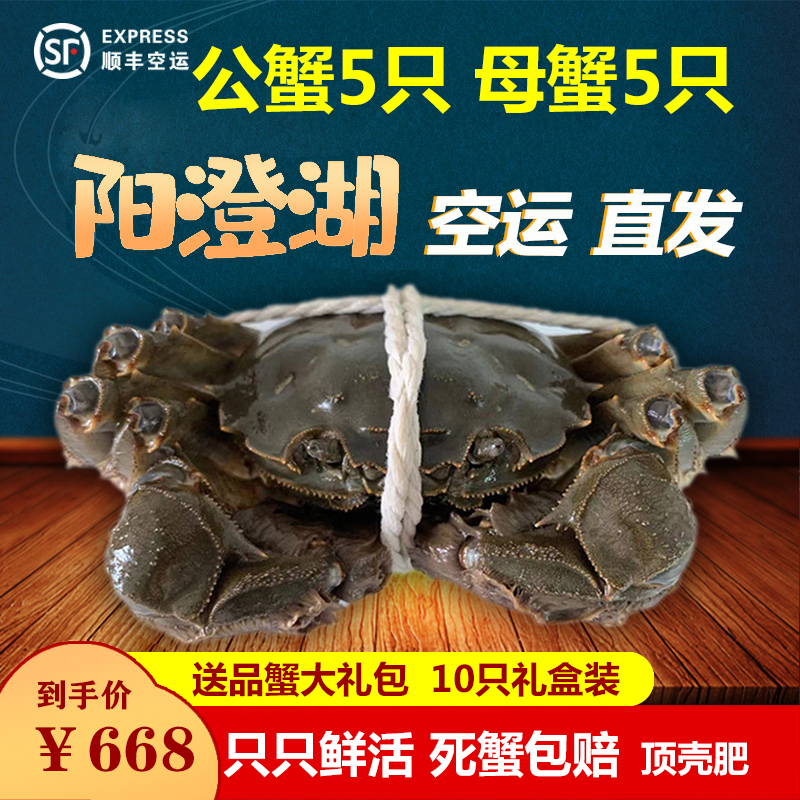 大闸蟹鲜活10只礼盒装顺丰直达