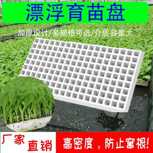 漂浮育苗盘水培漂浮板加厚圆孔玉米专用育苗盘162孔水上漂浮托盘