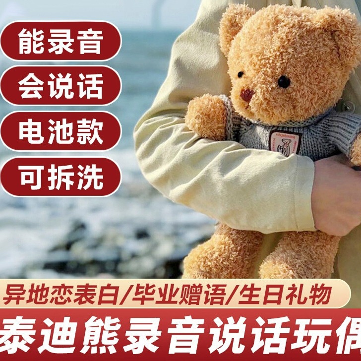 小熊录音玩偶会说话能录音留言公仔毛绒娃娃送女生日礼物闺蜜