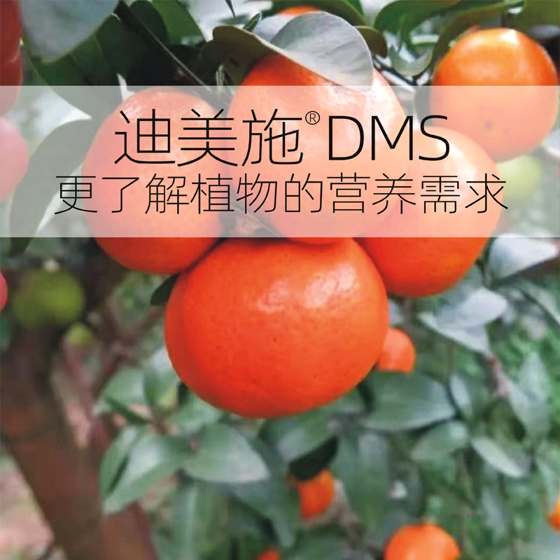 2022柑橘柑桔砂糖桔脐橙柚子砂b糖橘专用叶面肥保花保果膨果上色