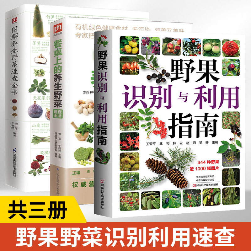 野果指南餐桌上的养生野菜+图解养生野菜+野果识别 3册常见野果名称品种识别要点分布食用部位食疗保健药用功能注意事项鉴别书籍