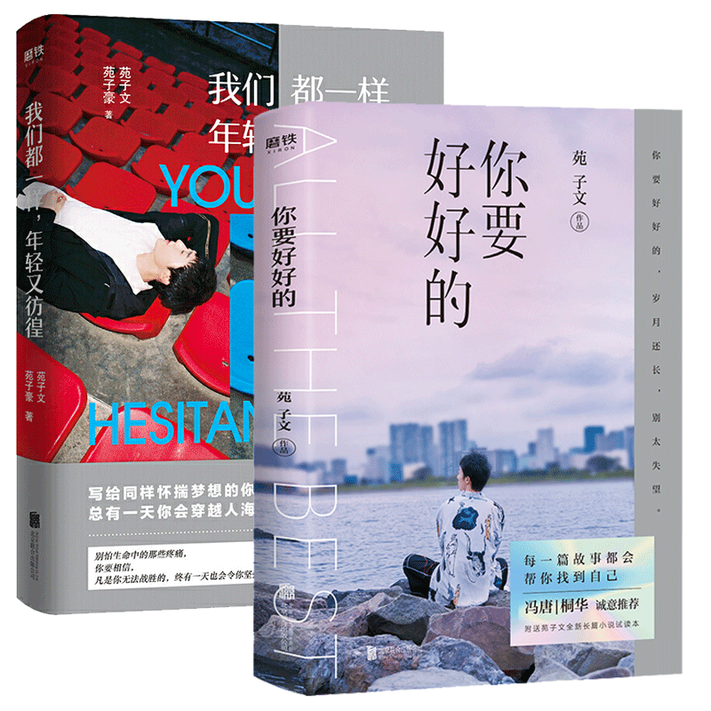 你要好好的 我们都一样 年轻又彷徨 全2册 苑子文 苑子豪 著 自律治愈