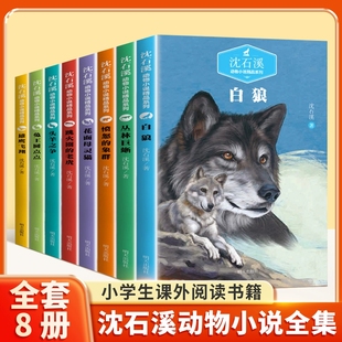 沈石溪动物小说精品系列全套8册愤怒的象群丛林巨蜥白狼头羊之争跳火圈的老虎花面母灵猫兔王圆点点雄鹰飞翔小学生课外阅读书籍正