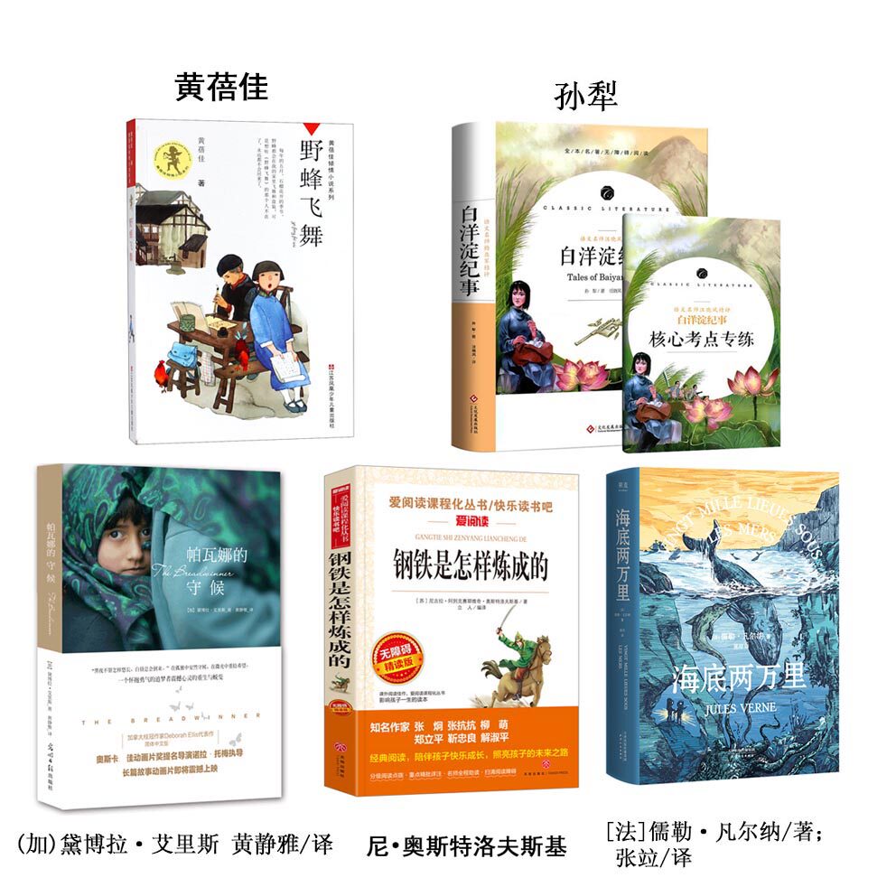全套4册帕瓦娜的守候钢铁是怎样炼成的黄蓓佳野蜂飞舞海底两万里孙犁