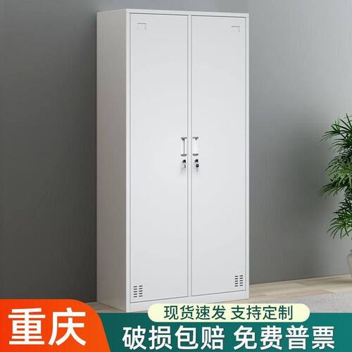 钢制二门更衣柜家用带锁储存物柜寄存工厂员工换衣柜铁皮卧室衣柜
