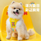 TuffHound它愿背心式 柯基胸背狗狗牵引绳防挣脱中小型犬遛狗绳