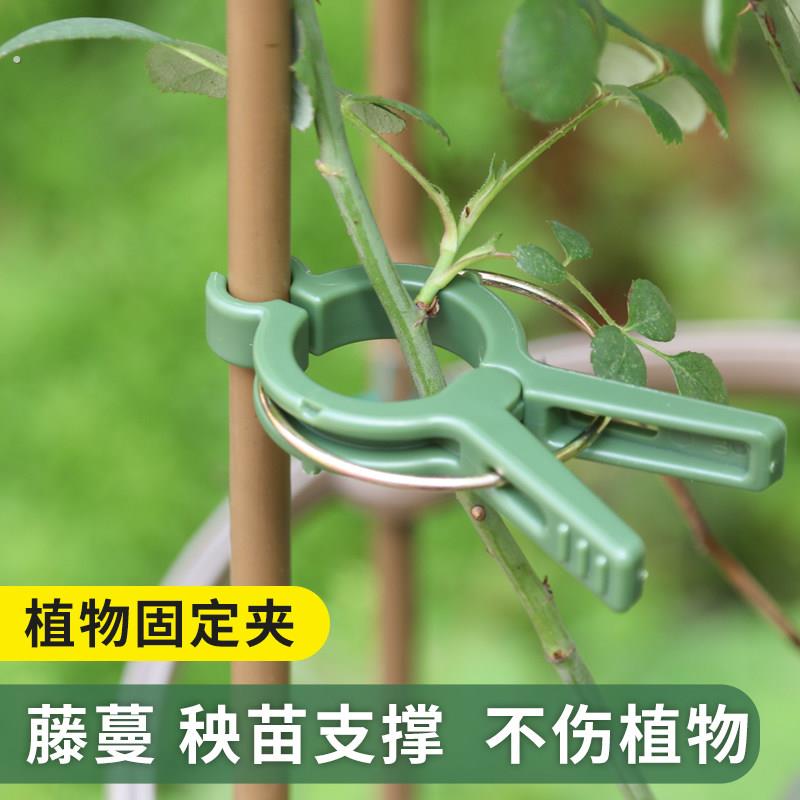 番茄园艺小夹子藤蔓植物爬藤支架黄瓜架西红柿藤架茄子架吊秧托夹