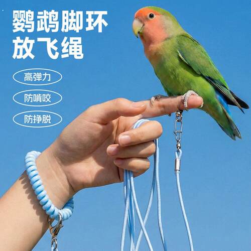 小太阳鹦鹉牵引绳外出专用遛鸟神器户外使用放飞绳脚环超轻不伤脚