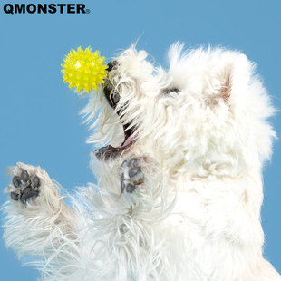 QMONSTER刺球狗狗玩具小狗磨牙洁齿互动球形玩具宠物用品巡回发声