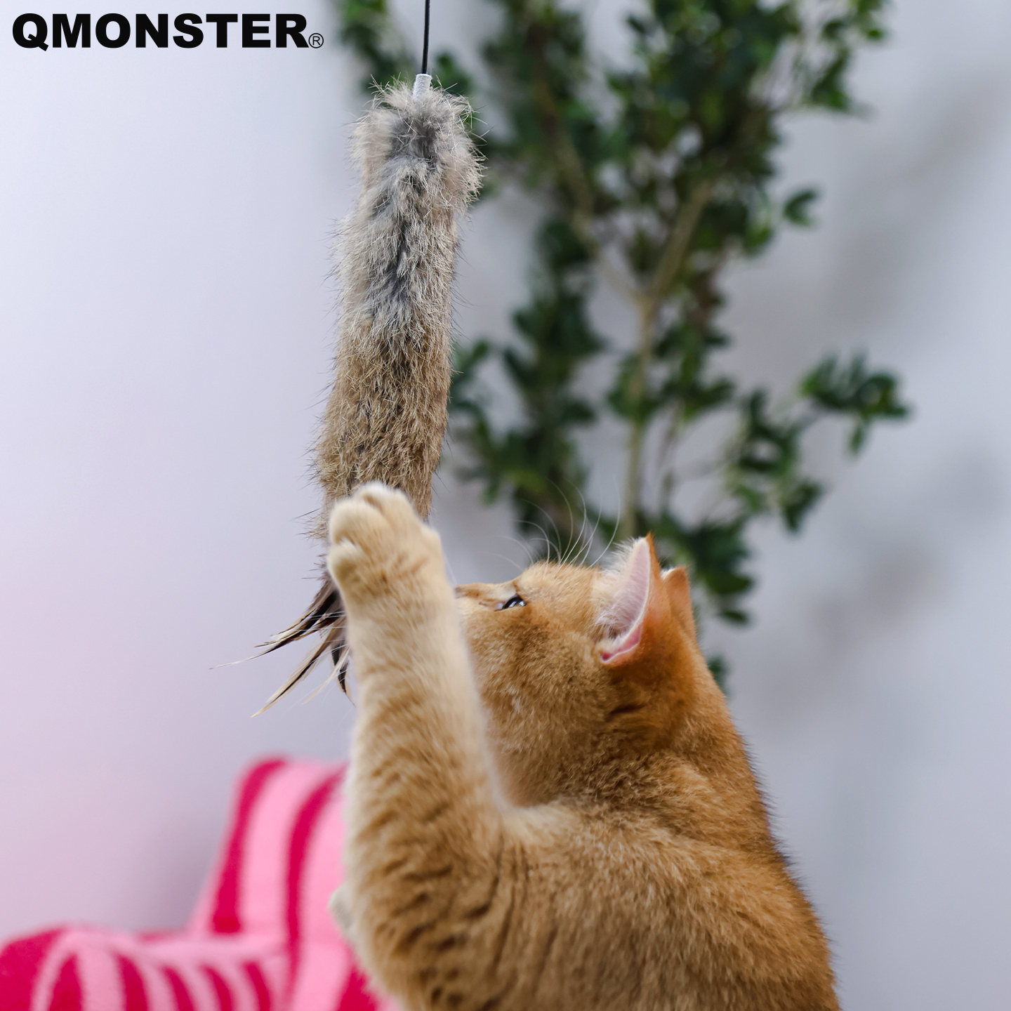 QMONSTER猫玩具自嗨解闷神器真皮逗猫棒羽毛耐咬养猫幼猫宠物用品