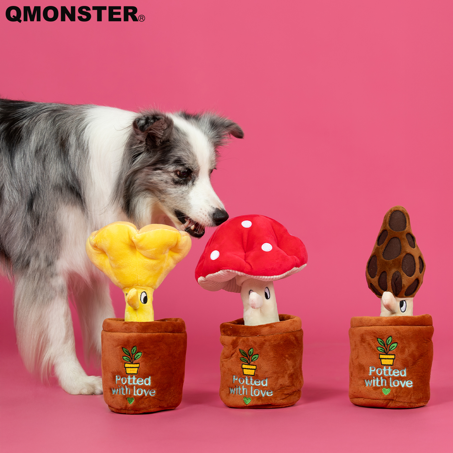 QMONSTER狗狗玩具小狗嗅闻藏食玩具垫大蘑菇响纸益智玩具慢食解闷