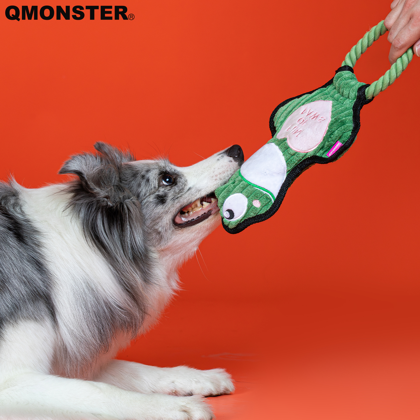 qmonster狗狗互动拉扯玩具耐咬人
