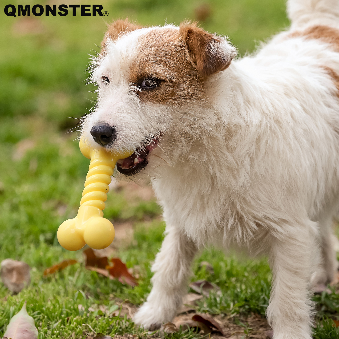 狗狗骨头玩具QMONSTERTPR耐咬