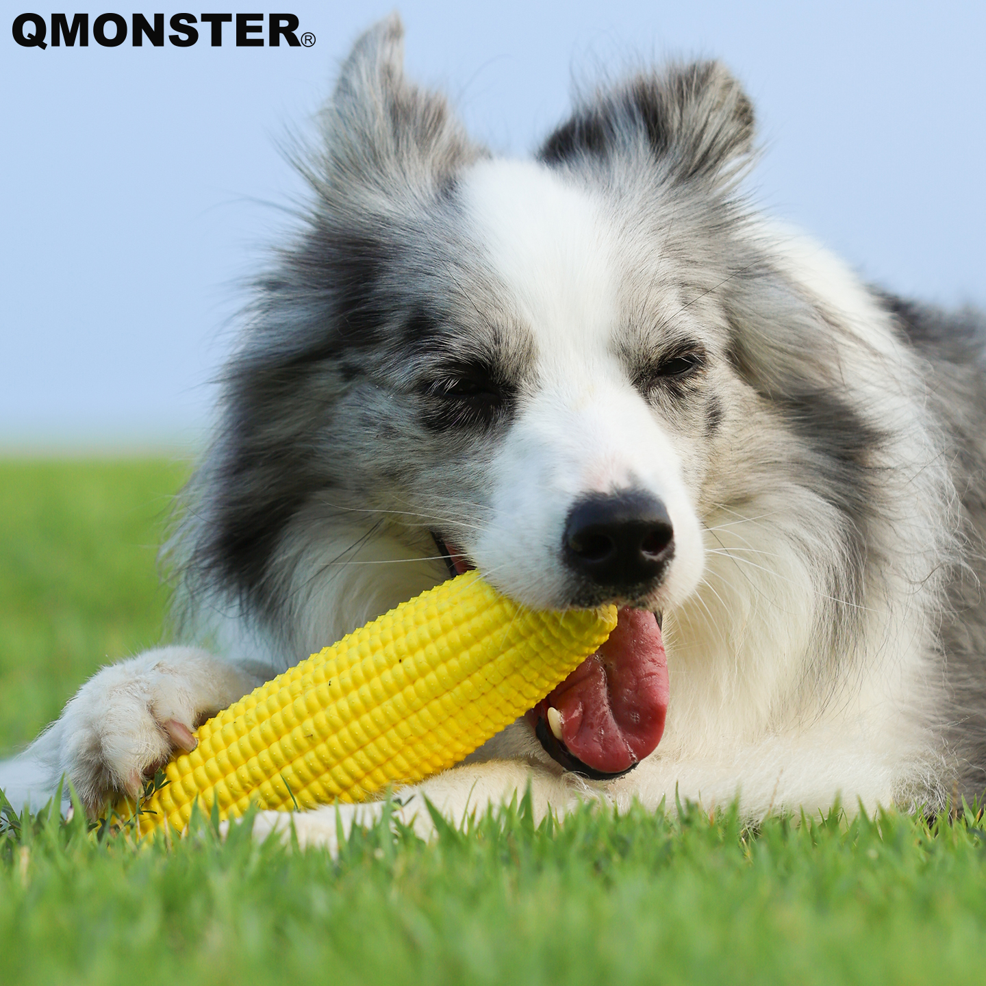 QMONSTER磨牙玉米棒狗狗玩具耐咬宠物自嗨解闷神器中大型犬狗发声