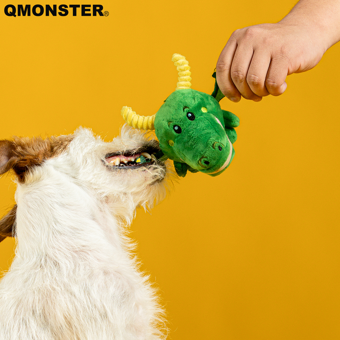QMONSTER狗狗玩具耐咬耐磨