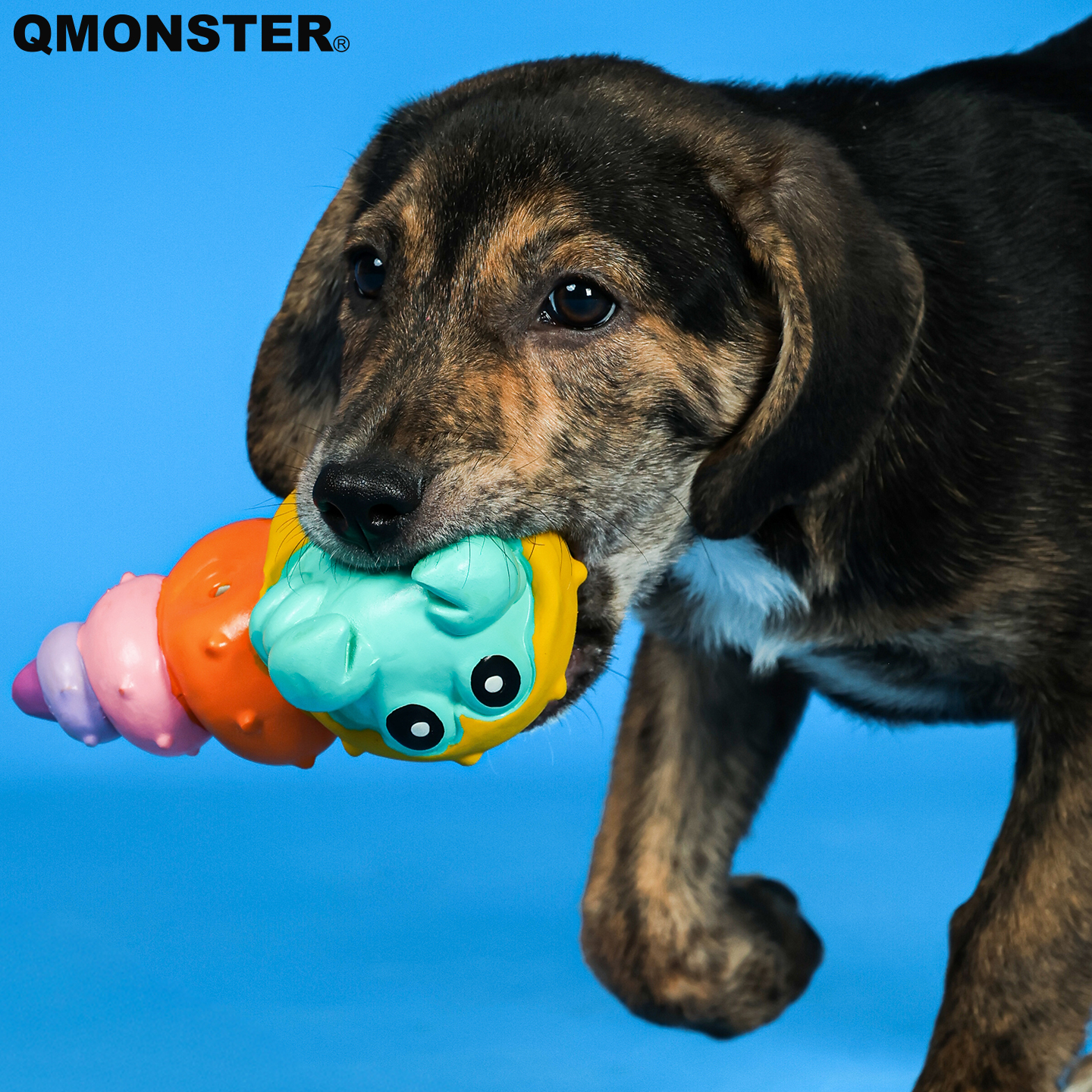 QMONSTER彩虹皮皮虾宠物狗狗玩具磨牙耐咬乳胶发声玩具自嗨解闷