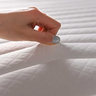 家用榻榻米垫子1.5m床宿舍单人学生海绵垫被褥子 乳胶床垫软垫加厚