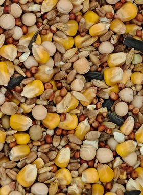 鸽子粮20斤/50斤/斤鸟食饲料观赏鸽肉食鸽供应链工厂货源