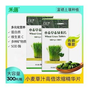 禾蓓小麦草汁浓缩麦绿素片300粒记官方正品小麦苗榨汁提取青汁片