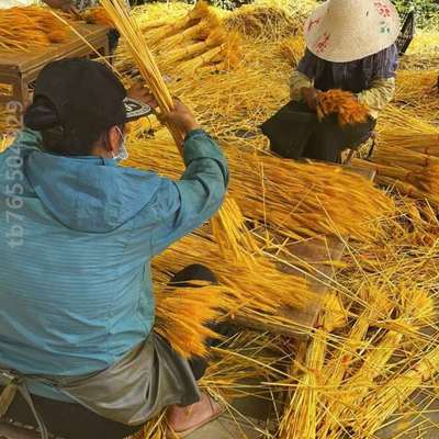 装饰摆件干花整箱万支大然客厅田园插花开业*黄金花束1装麦穗