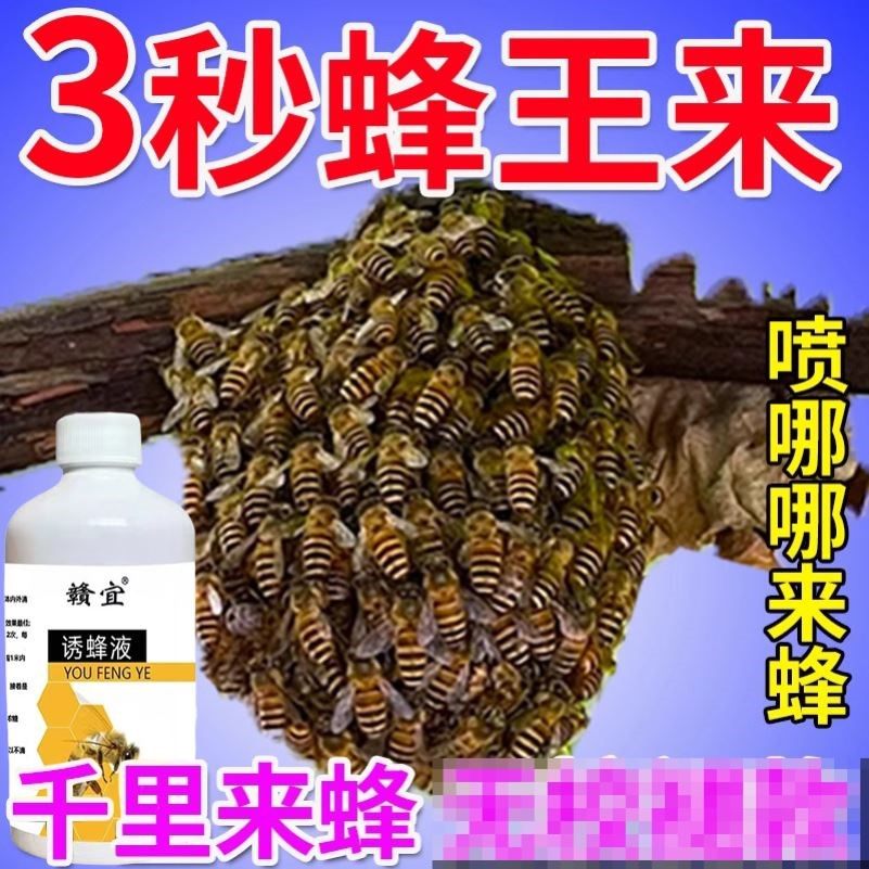 强力诱蜂液诱蜂膏招蜂水专用香精蜂王信息素引蜂中蜂捕捉蜜蜂神器
