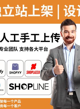 产品上架独立站设计wordpress外贸建站跨境电商shopify店铺装修