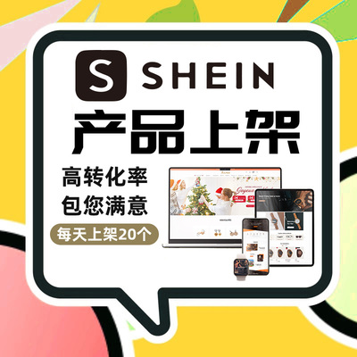 temu上架装修独立站跨境自建站美工shopyy拍摄shein详情wordpress