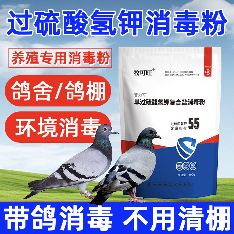 鸽舍专用消毒粉鸽子鹏养殖场通用鸽子消毒过硫酸氢钾鸽子笼消毒用