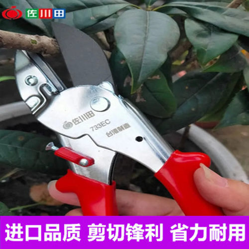 修枝剪修枝剪佐川田省力修剪